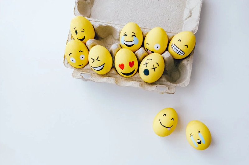 Essential Photography Tips for Beginners